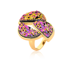 Drusa Multicolorida