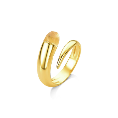 Use o Anel Momento com Citrino em Banho de Ouro 18K para atrair dinheiro e prosperidade, adicionando um toque de luxo e energia ao seu estilo.